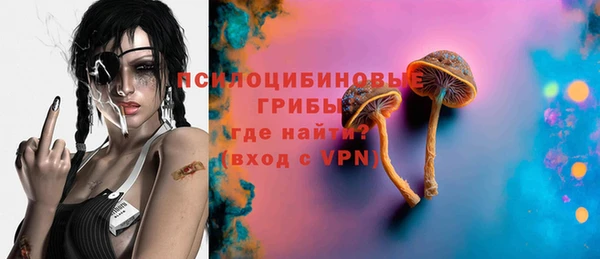 молекула духа Дмитров