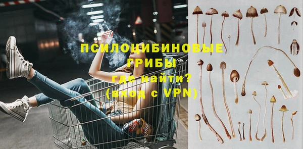 мяу мяу мука Дмитровск