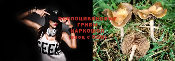 молекула духа Дмитров