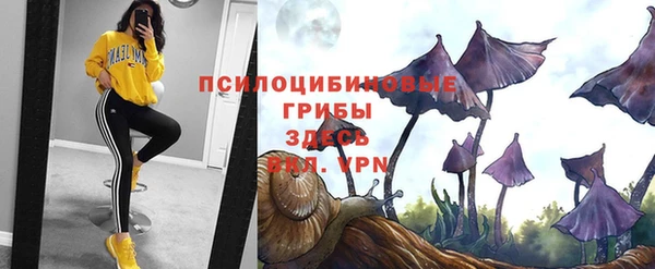 мяу мяу мука Дмитровск